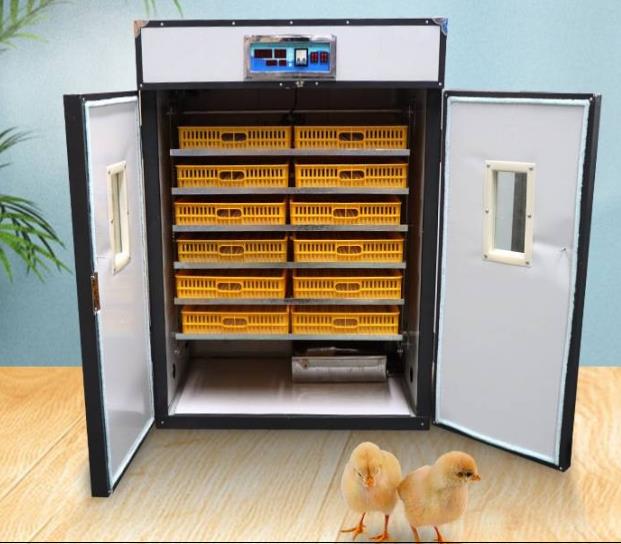 INCUBATOR